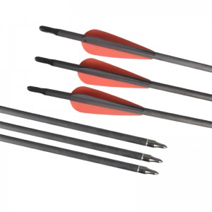 Elong 야외 113024 ID6.2mm SP400 탄소 섬유 화살표 양궁 야외 촬영 스포츠